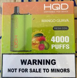 HQD BOX 4000 bocanadas mango guayaba 84J2100 HQD wholesale