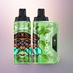 VapSolo VIKING 12000 Puffs Menta Fresca Tipo-C 22ml Nicotina