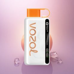 VOZOL STAR 9000/12000 Puffs Mango Mexica Hielo con 650mAh y 0/20/50mg/ml Nicotina